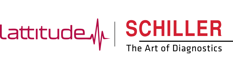 Schiller v2
